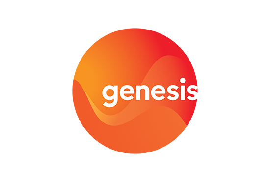 genesisi支付宝微信支付付账单