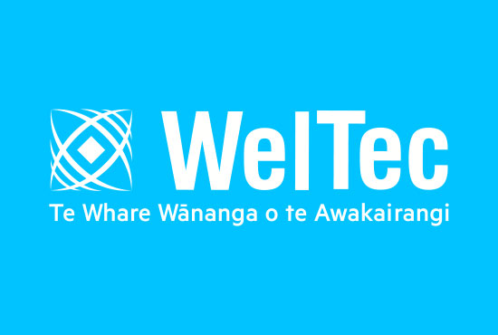 weltec 支付宝微信支付付学费